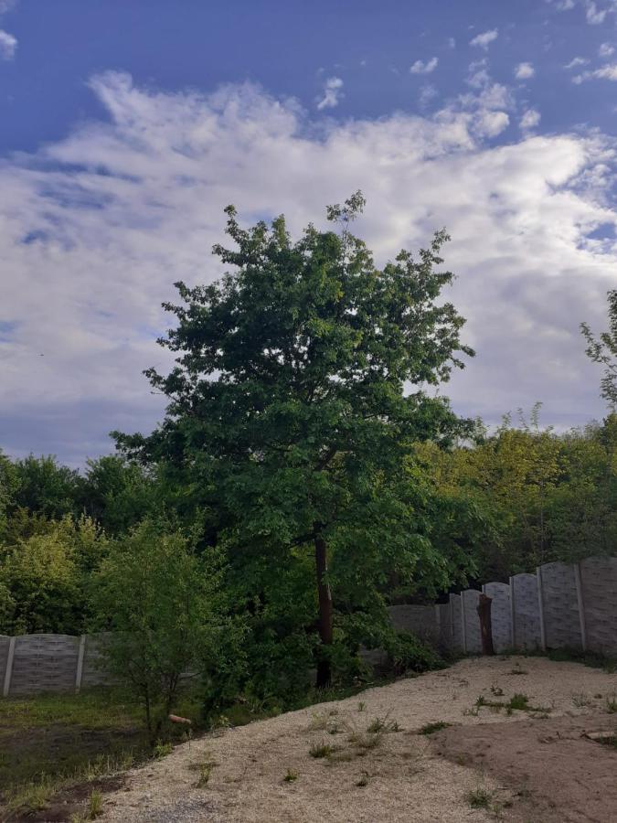 Pensiunea Scorilo Plopi  Exterior foto