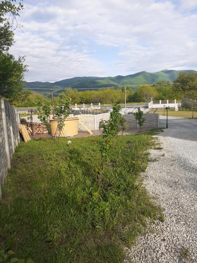Pensiunea Scorilo Plopi  Exterior foto